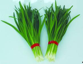 粉丝不是韭菜（一战成名）,一战成名的背后真相揭秘