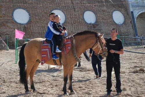 爱在马背上,一段跨越时空的浪漫传奇