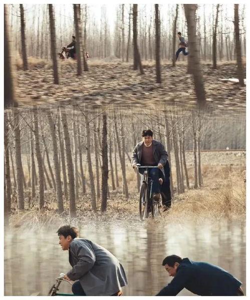 南来北往,探寻中国南北文化交融的轨迹