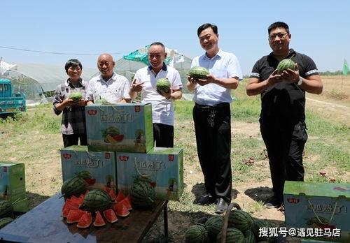 朱百万夫妇娱乐吃瓜酱